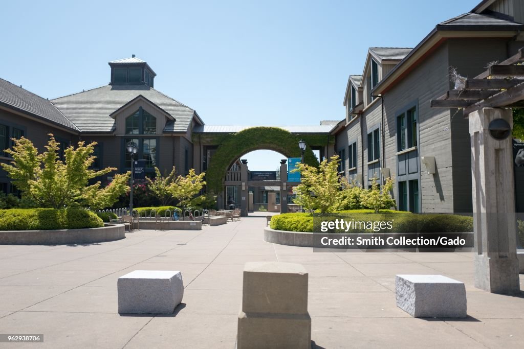 Haas School Of Business