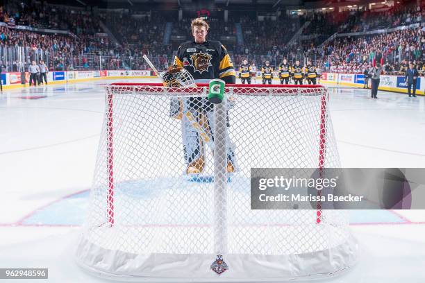 Kaden Fulcher of Hamilton Bulldogs stands in net against the Acadie-Bathurst Titan at Brandt Centre - Evraz Place on May 22, 2018 in Regina, Canada.