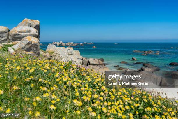 eaux turquoises de bretagne et plage du finistère nord - brest brittany stockfoto's en -beelden