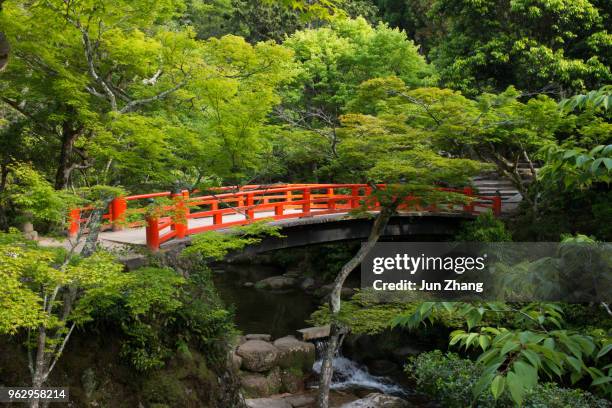 die brücke im momijidani park, miyajima, japan - miyajima stock-fotos und bilder