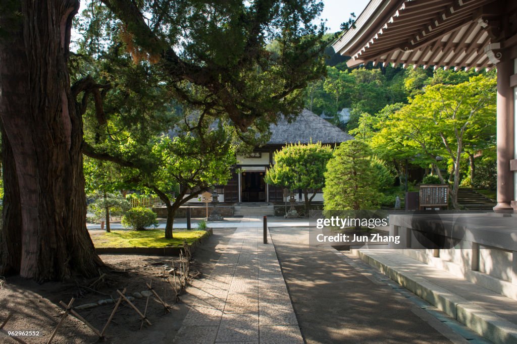 De Stille Hof van Engaku-ji-tempel in Kamakura, Japan