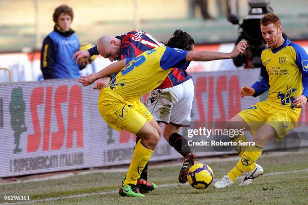 Roberto Guana of Bologna competes with Mario Yepes of Chievo Verona during the Serie A match between Chievo and Bologna at Stadio Marc'Antonio...