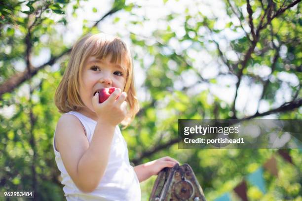little child picking peaches - child eating a fruit stock pictures, royalty-free photos & images