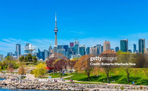 toronto canada: urban skyline including the cn tower during the daytime - toronto stock-fotos und bilder