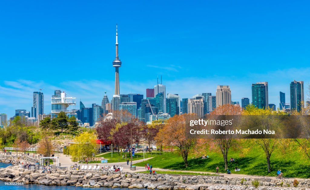 Toronto Canada: urban skyline including the CN Tower during the daytime