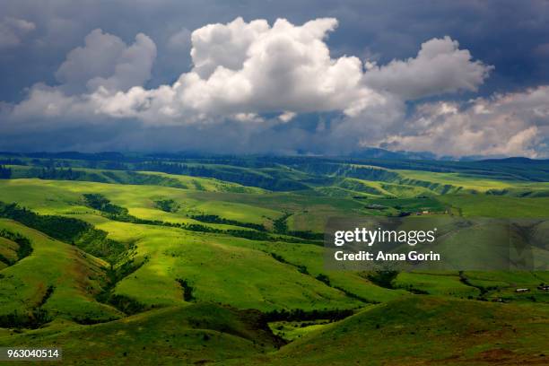 thunderhead clouds over sun-dappled lush green hills surrounding white bird canyon in spring, central idaho - anna gorin stock pictures, royalty-free photos & images