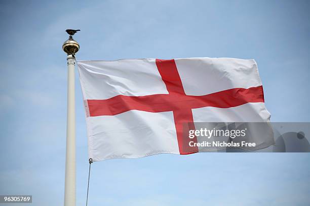 st george robin - saint george stock pictures, royalty-free photos & images