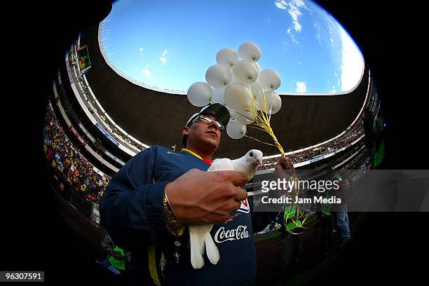 White dove of peace, symbolizing support for Paraguayan striker Salvador Cabanas, is seen during a Mexican championship Bicentenario 2010 match...
