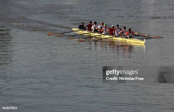 rowing - boat crew stock pictures, royalty-free photos & images