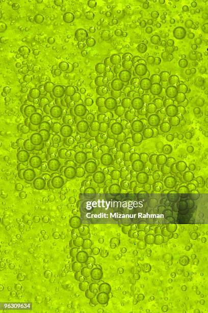 st. patrick's bubble - mizanur rahman stock pictures, royalty-free photos & images