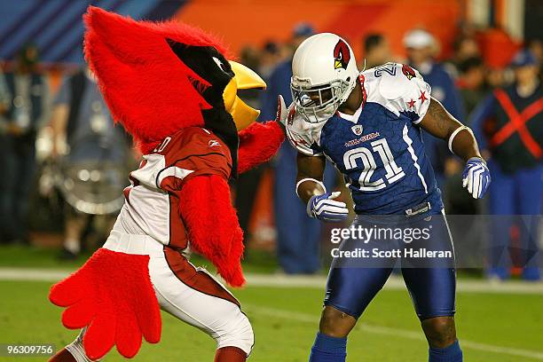 Antrel Rolle of the Arizona Cardinals greets his team mascot during the 2010 AFC-NFC Pro Bowl at Sun Life Stadium on January 31, 2010 in Miami...