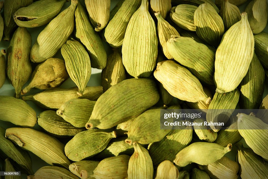 Cardamom Convention