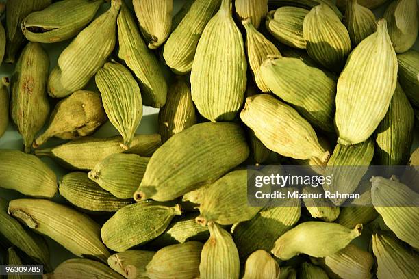 cardamom convention - mizanur rahman stock pictures, royalty-free photos & images