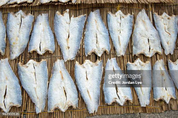 salted fish production - jordan lye stock pictures, royalty-free photos & images