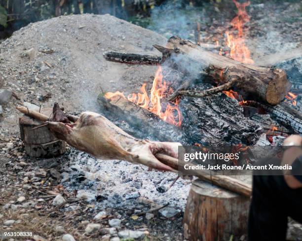 whole lamb roasts on outdoor barbecue - jack burns 個照片及圖片檔