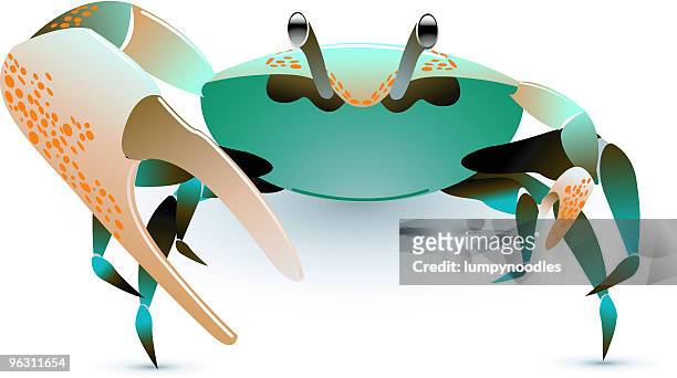 crab - fiddler crab stock illustrations