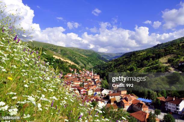 summer rural landscape with the village - kosovo fotografías e im�ágenes de stock