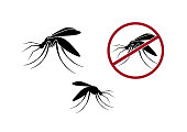 Mosquito vector illustration