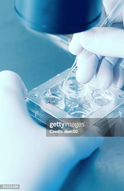 artificial insemination - artificial insemination stock pictures, royalty-free photos & images
