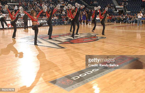 The Rio Grande Valley Vipers Snake Charmers dance team performs during a time out in the NBA D-League game against the Los Angeles D-Fenders on...