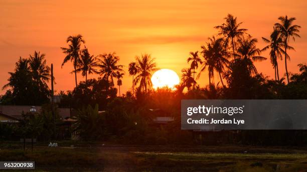 tropical sunset - jordan lye stock pictures, royalty-free photos & images