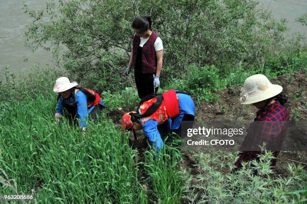 Zhoni county in gansu province, "Jue Nai" Tibetan is a Tibetan nationality from Tibet. In today's dress culture increasingly modernization,...