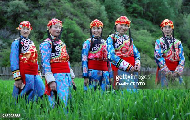 Zhoni county in gansu province, "Jue Nai" Tibetan is a Tibetan nationality from Tibet. In today's dress culture increasingly modernization,...