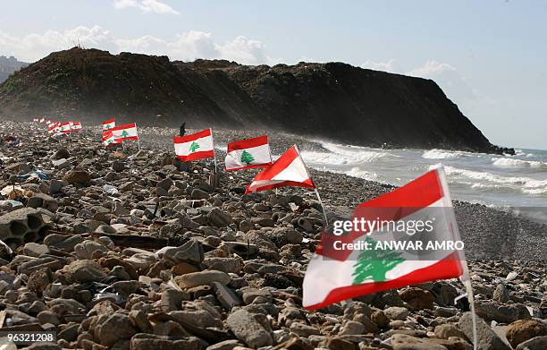 Lebanese flags flutter on the coast of Beirut near the site where an Ethiopian airliner crashed off Lebanon, in Beirut on February 1, 2010. Salvage...