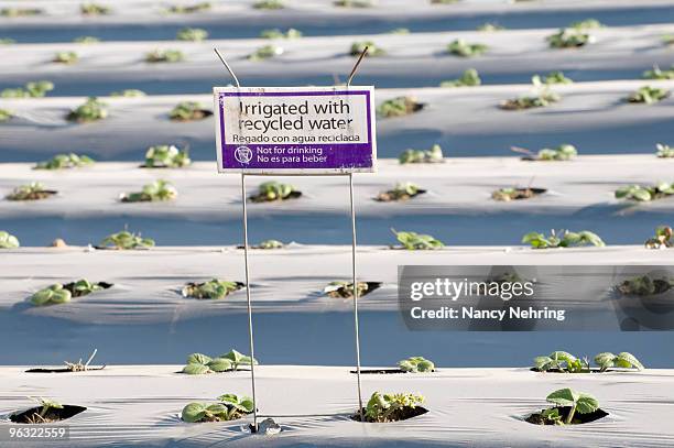 recycled water irrigation - moss landing stock pictures, royalty-free photos & images