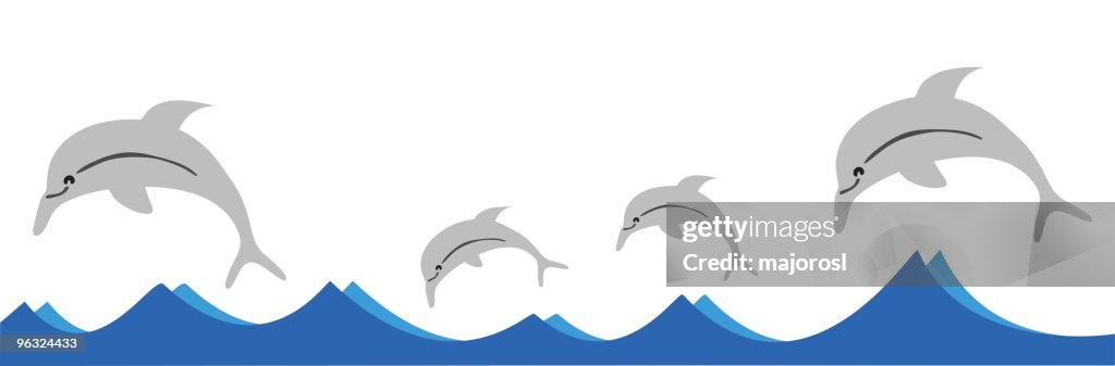 Dolphin family swimming in the ocean