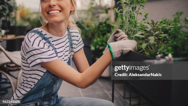 young woman arranging plants in her rooftop garden - rooftop garden stock pictures, royalty-free photos & images