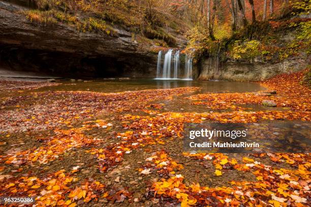 amazing cascades du hérisson during autumn with forest and waterfalls. - doubs foto e immagini stock