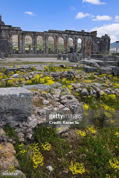 volubilis roman ruins, unesco world heritage site - moulay idriss photos et images de collection