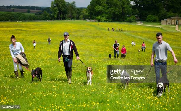 Competitors walk back across a field after competing in the lurcher race during the Duncombe Park Country Fair on May 28, 2018 in Helmsley, England....