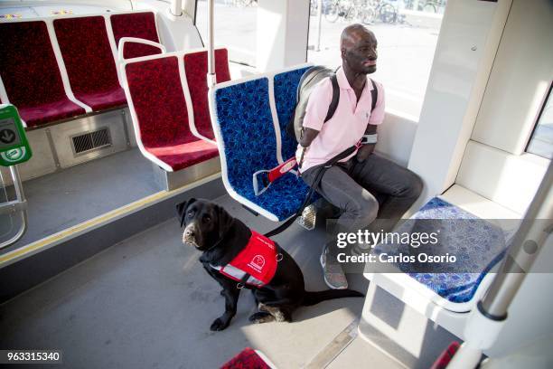 Toronto actor Prince Amponsah with his service dog, Siri. Prince lost his lower arms in a fire, suffered burns to 68 percent of his body and relies...