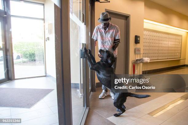 Toronto actor Prince Amponsah with his service dog, Siri. Prince lost his lower arms in a fire, suffered burns to 68 percent of his body and relies...