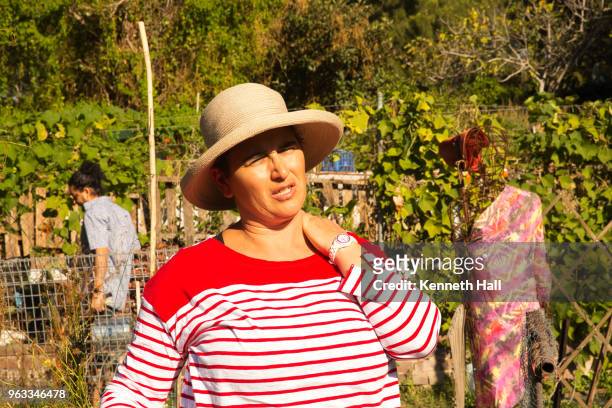 older woman massaging shoulder muscles in a garden setting garden wearing hat and brightly clothed, sydney, australia - scarecrow faces foto e immagini stock