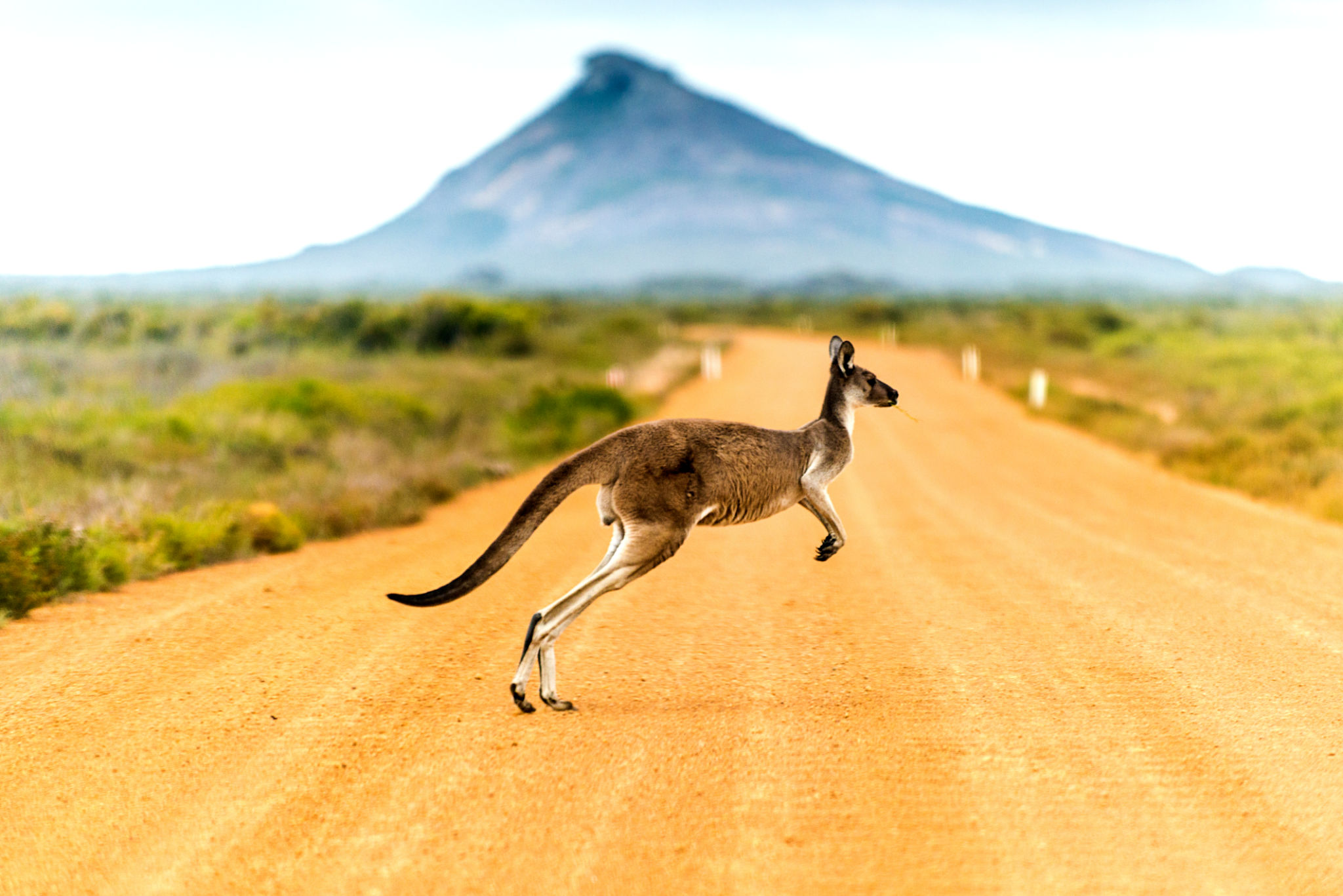 australian climate migration