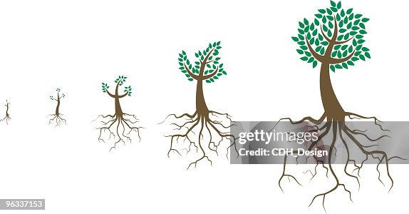 Growth ~ Vector Growth ~ Vector