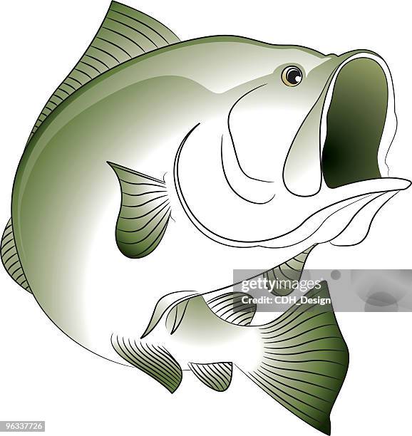 bass - freshwater bass stock illustrations