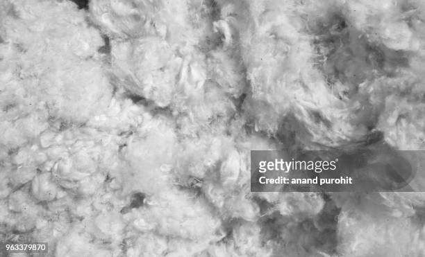 organic raw cotton fiber - background texture - cotton ball stock-fotos und bilder