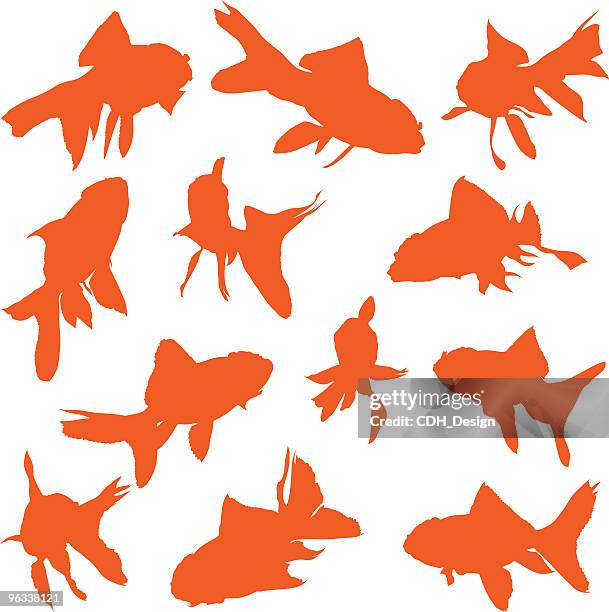 goldfish vectors - goldfish stock illustrations