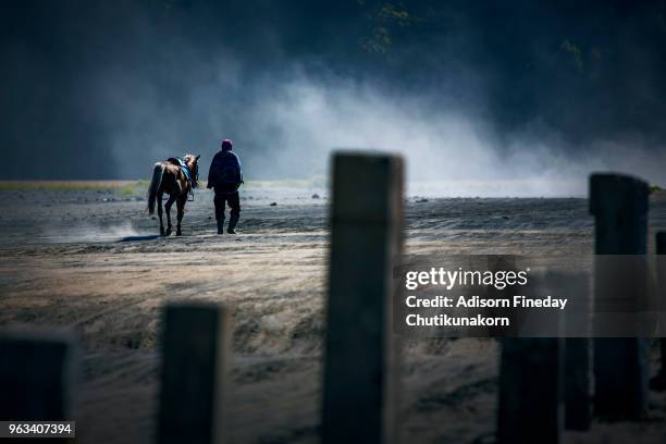 horse ride in mt bromo, indonesia - bromo horse stock pictures, royalty-free photos & images