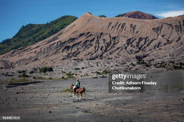 horse ride in mt bromo, indonesia - mt semeru stock-fotos und bilder