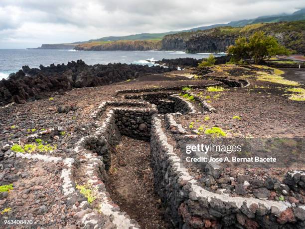 military trenches on the coast by the sea from the time of the second world war in terceira island in the azores islands, portugal. - trench 個照片及圖片檔