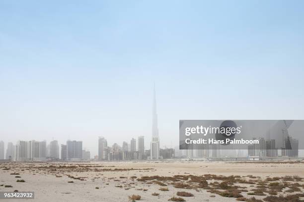 the skyline of dubai city as seen from the desert. - palmboom 個照片及圖片檔