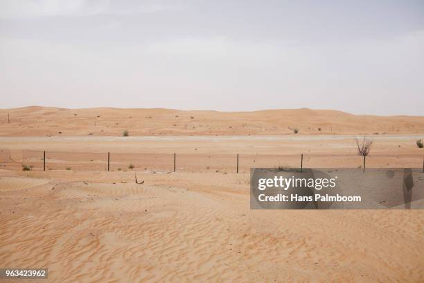 an empty lot of property in the desert of dubai - palmboom stock pictures, royalty-free photos & images