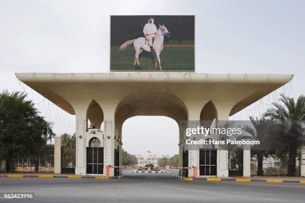 the entrance of the palace of the emir of dubai - palmboom 個照片及圖片檔