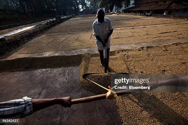 Laborers dry coffee beans in a field in Coorg, India, on Sunday, Jan. 31, 2010. Coffee exports from India, Asia's third-biggest producer, declined 13...