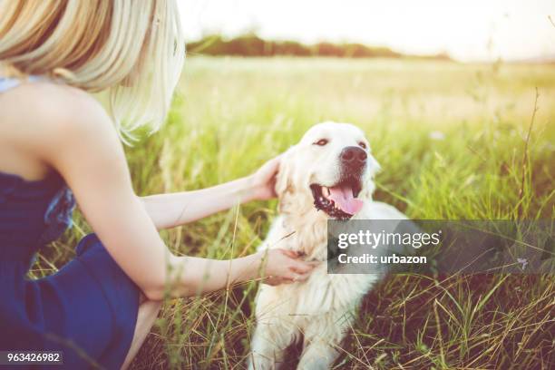 young woman playing with her dog outdoor. - retriever stock pictures, royalty-free photos & images